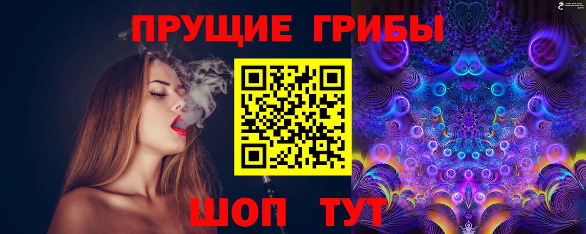 Псилоцибиновые грибы Psilocybine cubensis Тавда