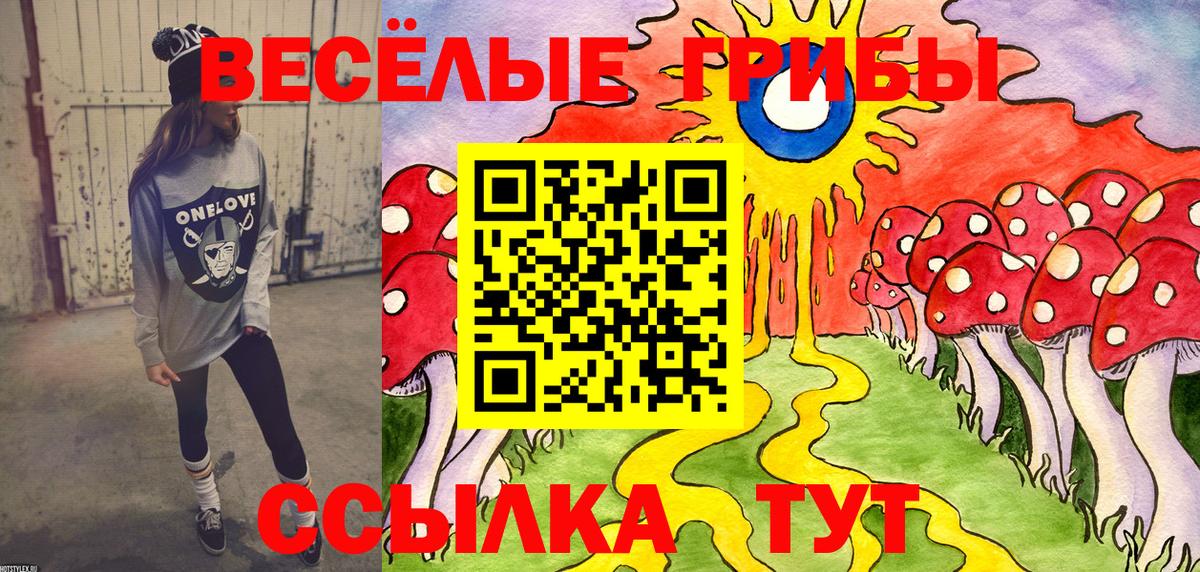 Псилоцибиновые грибы GOLDEN TEACHER  Вход с VPN  Псилоцибиновые грибы MAGIC MUSHROOMS  Тавда 